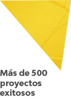 Más de 500 proyectos exitosos