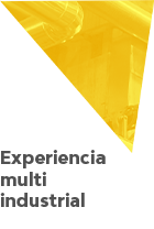 Experiencia multi industrial